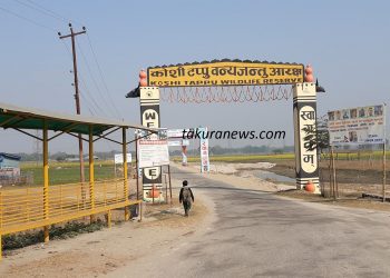 कोशीटप्पुमा दुई सातामा दुई लाख बढी पर्यटक, पर्यटकको रोजाईमा हात्ती सफारी