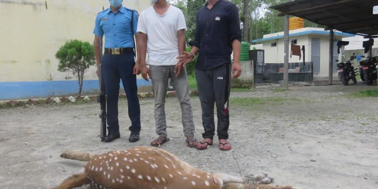 दुईजना शिकारी चित्तलसहित पक्राउ