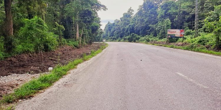 ६ लेन सडक परियोजना : तरहरादेखि धरानसम्म ४ लेन मात्र बन्ने, झण्डै १५ सय रुख काटिदैँ