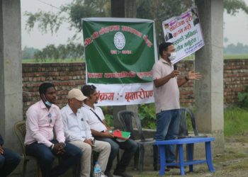 जीपी कोईराला अध्ययन केन्द्रद्धारा बृक्षारोपण