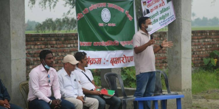 जीपी कोईराला अध्ययन केन्द्रद्धारा बृक्षारोपण