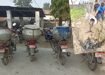 नेपालमा प्रतिबन्धित ५० हजार मूल्य बराबरको ‘क्याट फिस सुनसरी प्रहरीद्धारा बरामद
