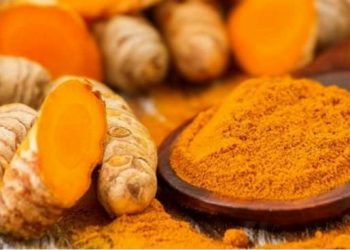 पत्रकार महासंघ सुनसरीका पूर्वअध्यक्ष घिमिरेद्वारा बेसारजन्य वस्तुको प्रशोधन उद्योग सन्चालन 