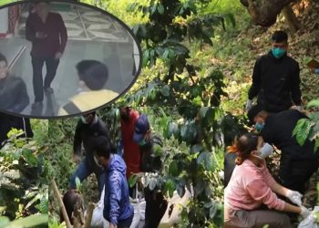 इटहरीबाट पोखरा गएका एक जोडीले एउटै पासो लगाएर झुण्डिए