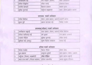 पत्रकार महासंघ सुनसरीमा चुनावी सरगर्मी बढ्यो, अध्यक्षमा चारजनाको उम्मेद्वारी
