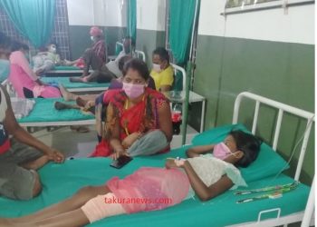 इटहरीमा सर्पदंशका बिरामी बढे, एक महिनामा ८७ जनाको उपचार