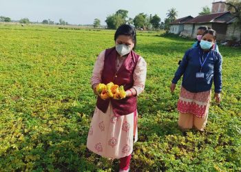 इटहरीमा उत्पादित तरकारी खेर नजाने