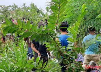 तरहरामा कहालीलाग्दो घटना : श्रीमान, श्रीमतीको यसरी भयो मृत्यु  (विस्तृत विवरणसहित)