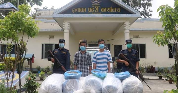 सुनसरीबाट एक सय पचास केजी गाँजा र नक्कली पेस्तोलसहित दुईजना पक्राउ