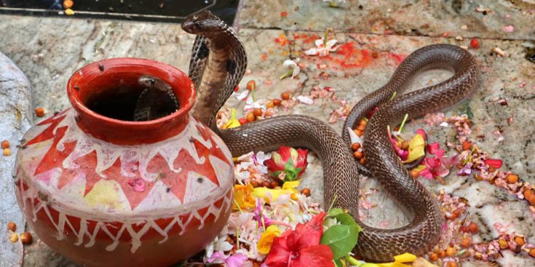 आज नागपञ्चमी