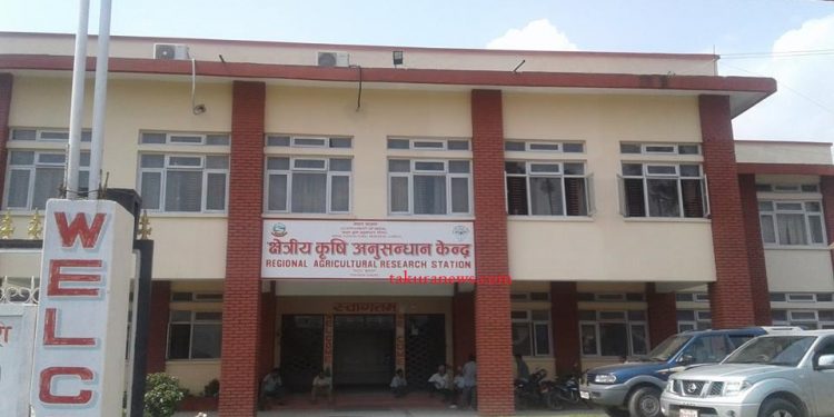 भ्रष्टाचार आरोपमा क्षेत्रीय कृषि अनुसन्धान केन्द्र तरहराका तत्कालीन प्रमुखसहित सातजनाविरुद्व अख्तियारमा मुद्वा दायर