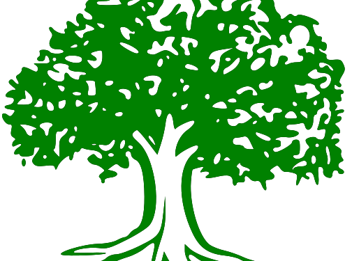 इटहरीमा कांग्रेसले गठन गर्यो तीनहजार सदस्य निर्वाचन परिचालन समिति