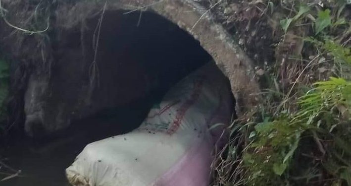 झापामा बोराभित्र शव फेला, हत्याको आशंका