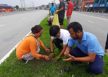 विश्व वातावरण दिवस : इटहरीका विभिन्न ठाउँमा वृक्षारोपण गरी मनाइयो