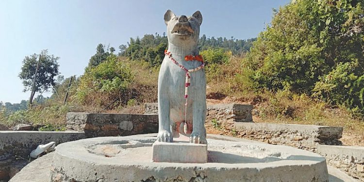 खोटाङमा कुकुरको पनि सालिक
