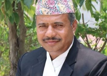 इटहरीका भीम पौडेल कांग्रेस प्रदेश १ को सदस्यमा मनोनीत
