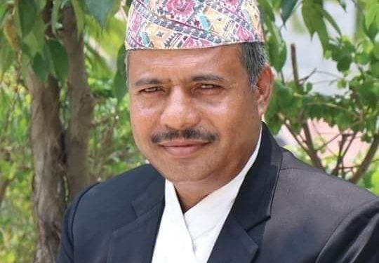 इटहरीका भीम पौडेल कांग्रेस प्रदेश १ को सदस्यमा मनोनीत