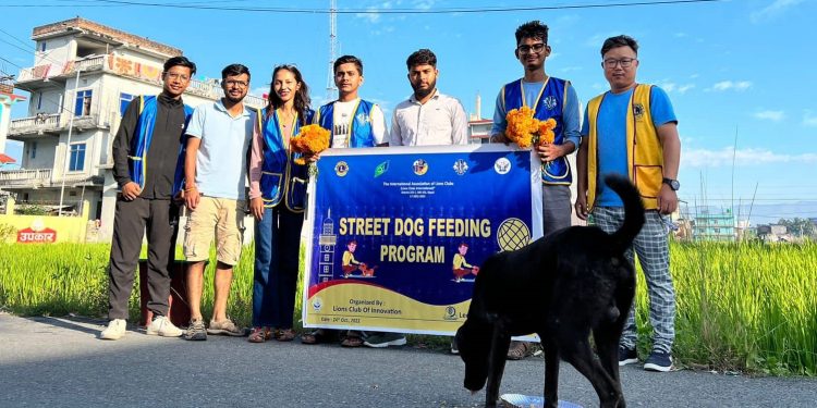 लायन्स र लियो क्लब अफ इटहरी इनोभेसनद्वारा एक सय भन्दा बढी कुकुरलाई खाना