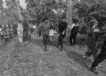 सुनसरीमा हात्तीको आक्रमणबाट ७० वर्षीय वृद्वको मृत्यु