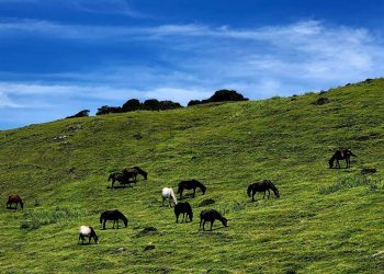 पर्यटकको पर्खाइमा भोजपुरको मुन्धुम पदमार्ग (फोटोहरूसहित)