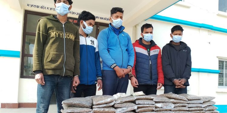 लागूऔषध : इटहरीका चारसहित पाँचजना पक्राउ