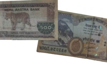 इटहरीमा भेटियो नक्कली नोट