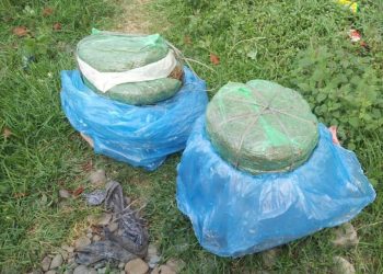 विराटनगरमा २२ किलो गाँजा बरामद