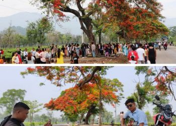 शिरीष फूलेर राताम्य भएपछि ‘टिकटक भिडियो’ बनाउनेको भीड