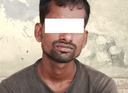 चोरी मुद्दाका फरार प्रतिवादी पक्राउ