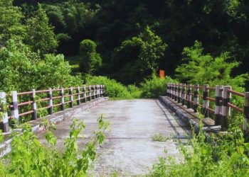 पाँचथर : एक करोड २८ लाखमा बनेको पुल प्रयोगविहीन