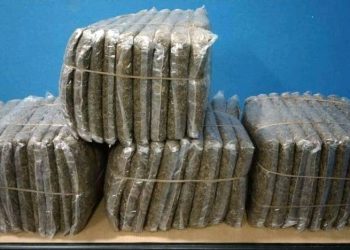 भारत लैजाँदै गरेको ६० किलो गाँजासहित दुई पक्राउ