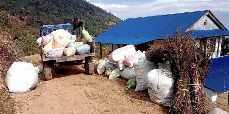 चिराइतोले मूल्य पाउँदा भोजपुरका किसान उत्साहित