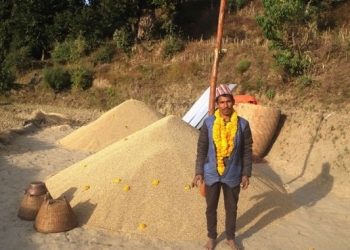 १६८ मुरी धान फलाएका किसान जोडीलाई सम्मान, भन्छन्–दुःख नभई सुख हुँदैन रहेछ