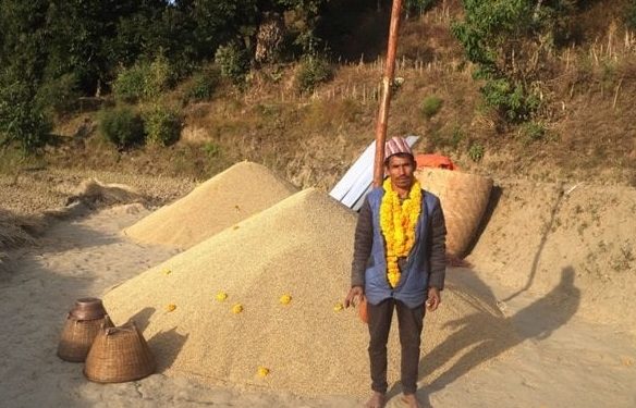 १६८ मुरी धान फलाएका किसान जोडीलाई सम्मान, भन्छन्–दुःख नभई सुख हुँदैन रहेछ