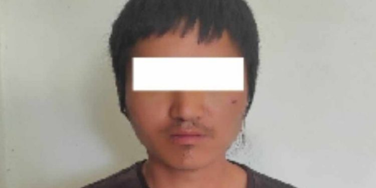 नौ वटा मुद्दामा सजाय खेपेका विकास गाँजासहित पक्राउ