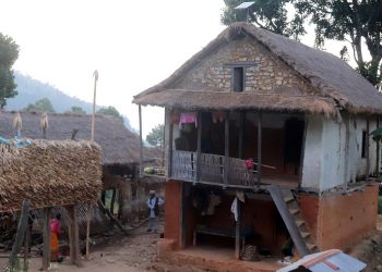 खोटाङ : परम्परागत शैलीमा राखिएको मकैको सुली