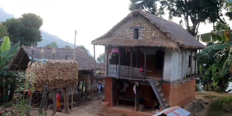 खोटाङ : परम्परागत शैलीमा राखिएको मकैको सुली