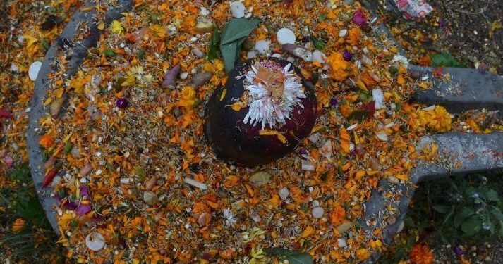 आज बालाचतुर्दशी, शतबीज छरिदैँ