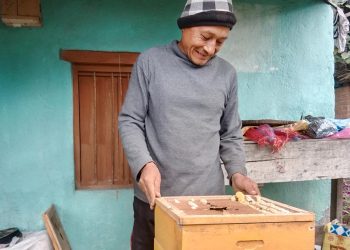इलाम : व्यावसायिक मौरीपालनमा रोङका किसान