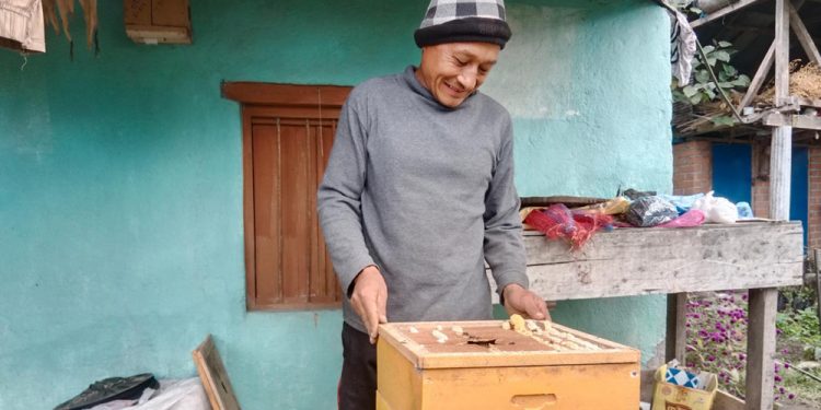 इलाम : व्यावसायिक मौरीपालनमा रोङका किसान