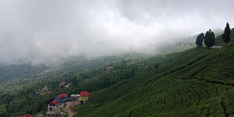 चिया टिप्न हाते मेसिन प्रदान गर्दै सूर्योदय नगरपालिका