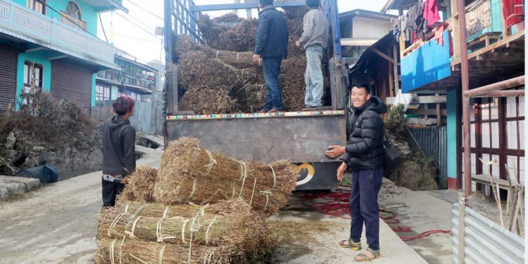 चिराइतो मूल्य बढ्दो, उत्पादन घढ्दो