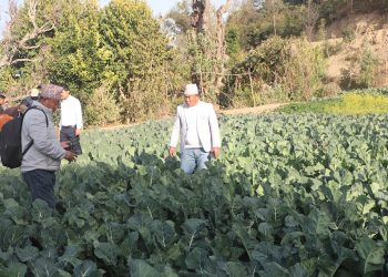 अर्गानिक कृषि उत्पादनमा जुट्दै भोजपुरका किसान