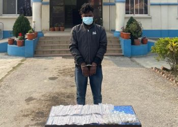 चाँदीका सरसमानसहित एक पक्राउ