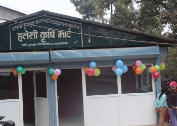 हलेसीमा चिस्यान केन्द्रसहितको कृषि बजार सञ्चालनमा