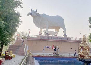 मोरङको सुन्दरहरैंचामा ३६ फिटको गाईको प्रतिमा