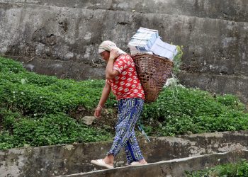 डोकोमा पाठ्यपुस्तक