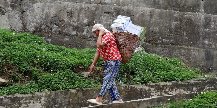 डोकोमा पाठ्यपुस्तक