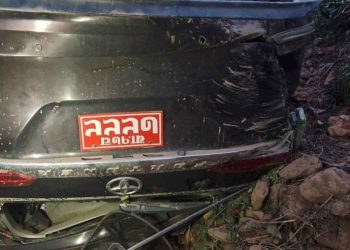 दुर्घटनामा चालकको मृत्यु