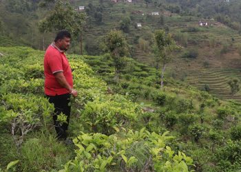 व्यावसायिक चियाखेतीसँगै पर्यटन प्रवर्द्धनमा भोजपुरका रञ्जित